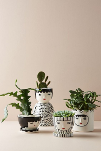 Rental Home Decor With Beautiful Planters